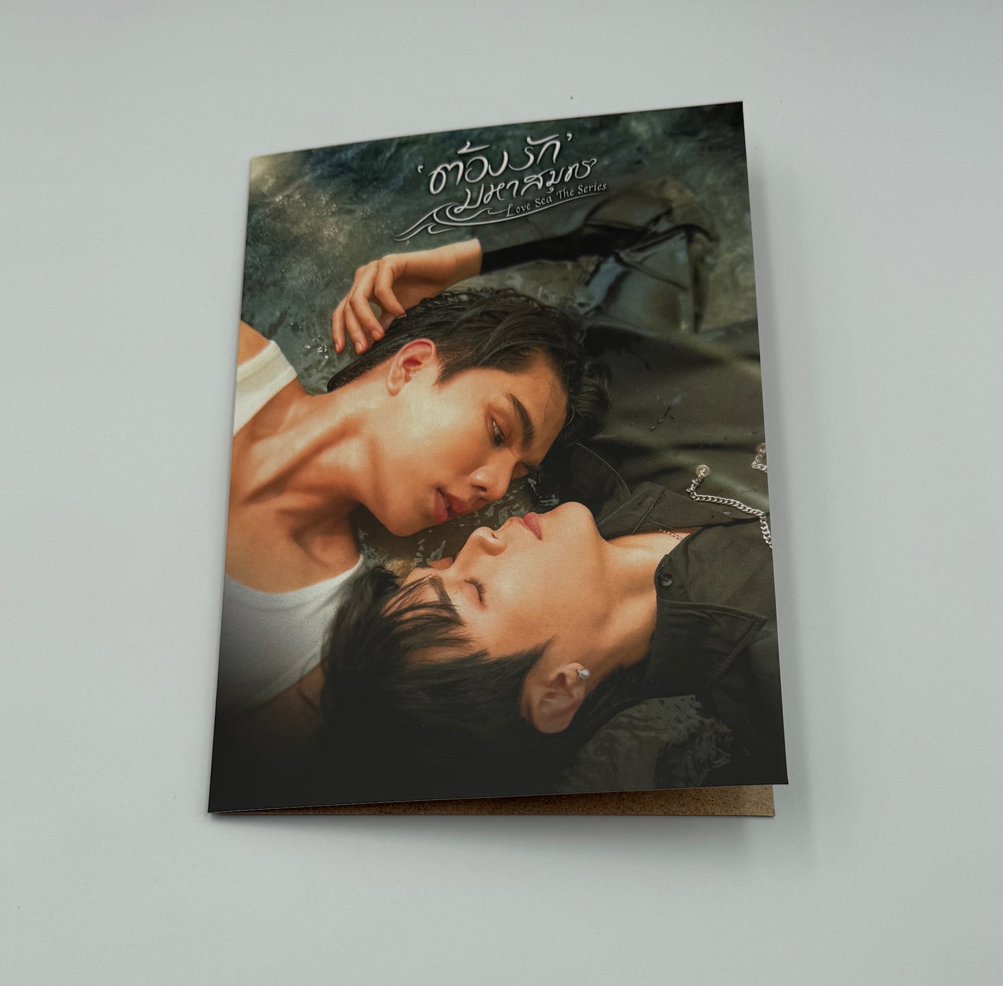 Image of the front of the flash drive card. The front has an image of Fort and Peat facing each other while laying on their backs.