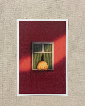 [Pre-order] Boxset | Caysroom Little Light (Summer 2026)