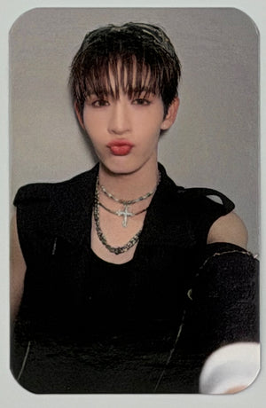DEXX: Debut Random Selfie Photocards