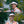 Magdalene college visor cap | ticket to heaven