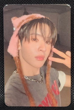 DEXX Skinship Random Selfie PCs