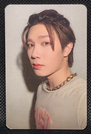 DEXX Skinship Random Selfie PCs