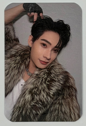 DEXX: Debut Random Selfie Photocards