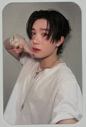 DEXX: Debut Random Selfie Photocards