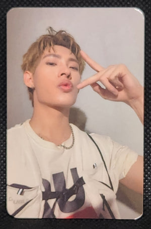 DEXX Skinship Random Selfie PCs