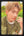 DEXX Skinship Random Selfie PCs