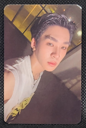 DEXX Skinship Random Selfie PCs