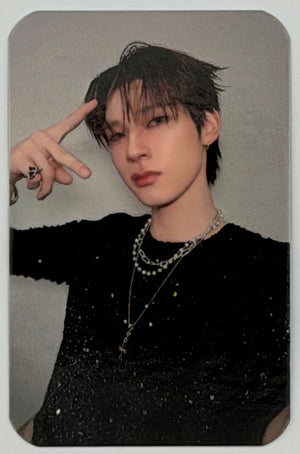 DEXX: Debut Random Selfie Photocards