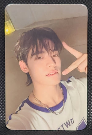 DEXX Skinship Random Selfie PCs