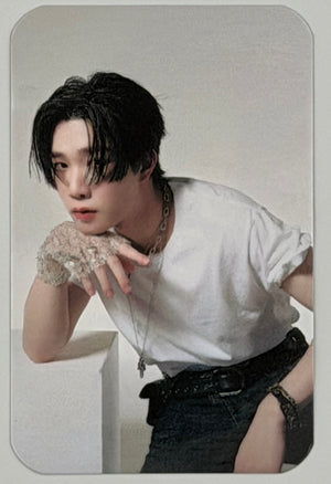 DEXX: Debut Random Photocards