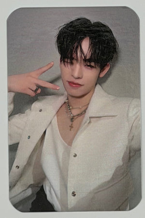 DEXX: Debut Random Selfie Photocards