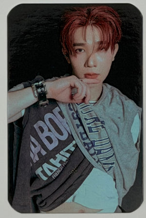 DEXX: Debut Random Photocards