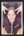 ALL EYES HERE PHOTOCARDS GIRLS - Kapook Ciize