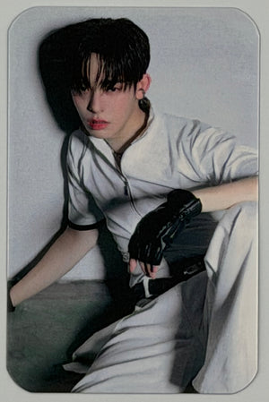 DEXX: Debut Random Photocards