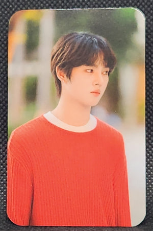 DMD Line up 2026 : Into Racha - Random Photo Cards