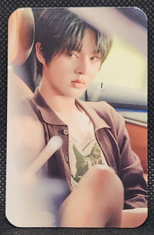 DMD Line up 2026 : Into Racha - Random Photo Cards