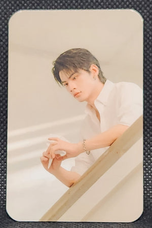 DMD Line up 2026 : Into Racha - Random Photo Cards