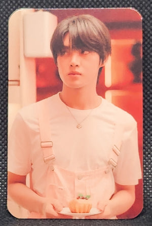 DMD Line up 2026 : Into Racha - Random Photo Cards