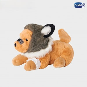 Side view of the golden retriever in a wolf hood from the GMMTV series Kidnap