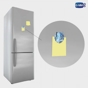 [Awaiting Stock] LYKN Magsafe Griptok | LYKN Dusk & Dawn Concert