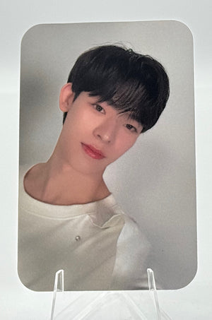 Your Sky Selfie Random Cards: Por Tee