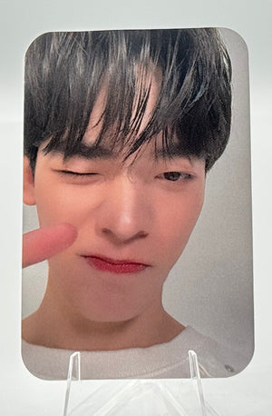 Your Sky Selfie Random Cards: Por Tee