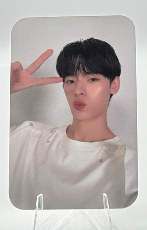 Your Sky Selfie Random Cards: Por Tee