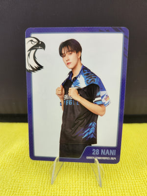 Starlympics 2024 Official PC - Sky and Nani