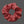 [Pre-Order] Hair Tie | Yesterday The Secret Melody Official Merch